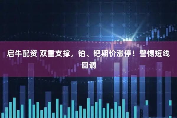 启牛配资 双重支撑，铂、钯期价涨停！警惕短线回调